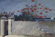 A Wall,Nassau (mk44), Winslow Homer